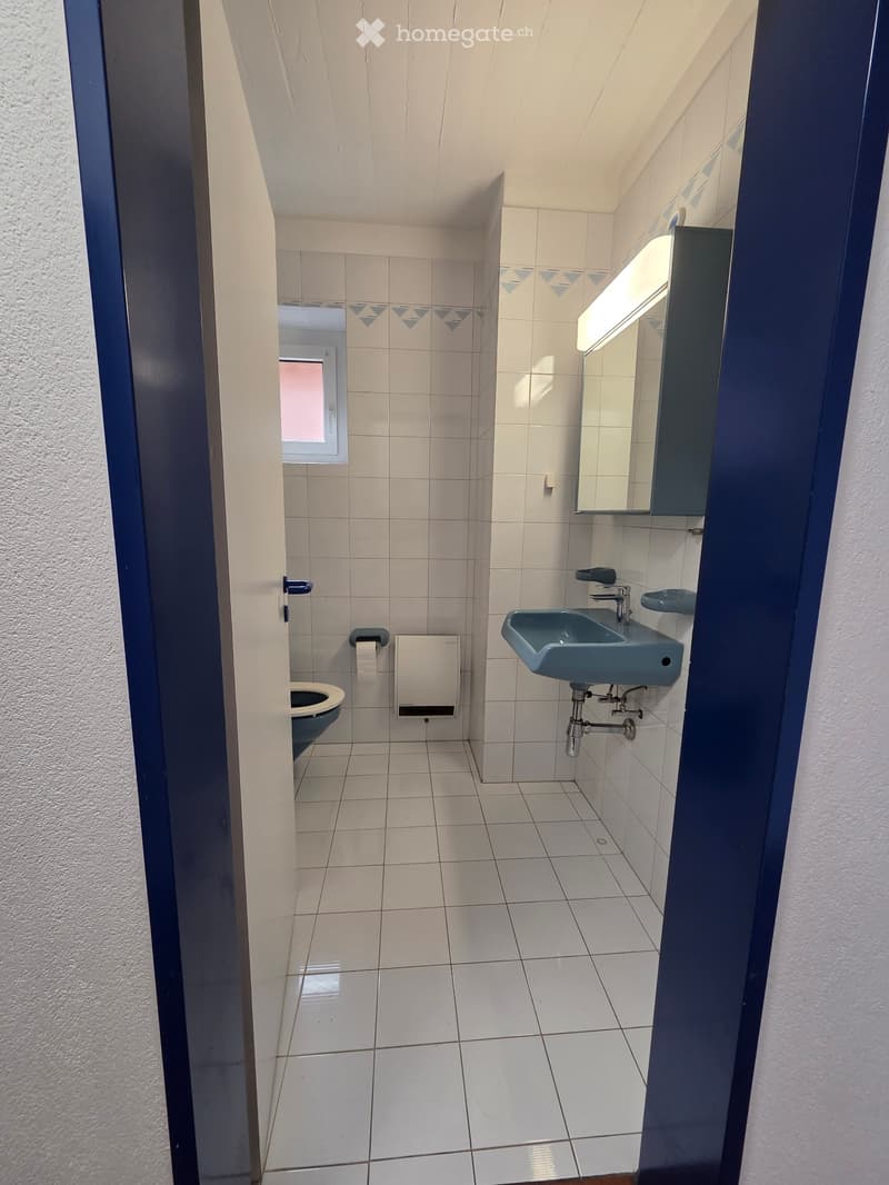 Splendido duplex in affitto - primo mese gratuito (3)