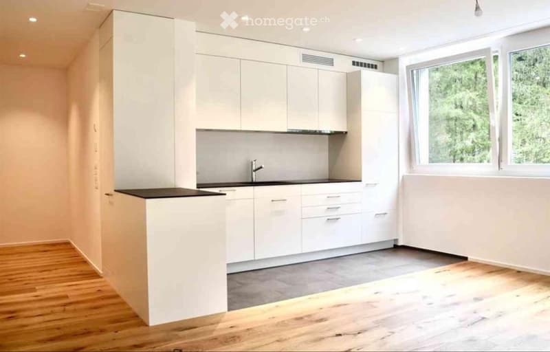 2.5 Zimmerwohnung zu vermieten (2)