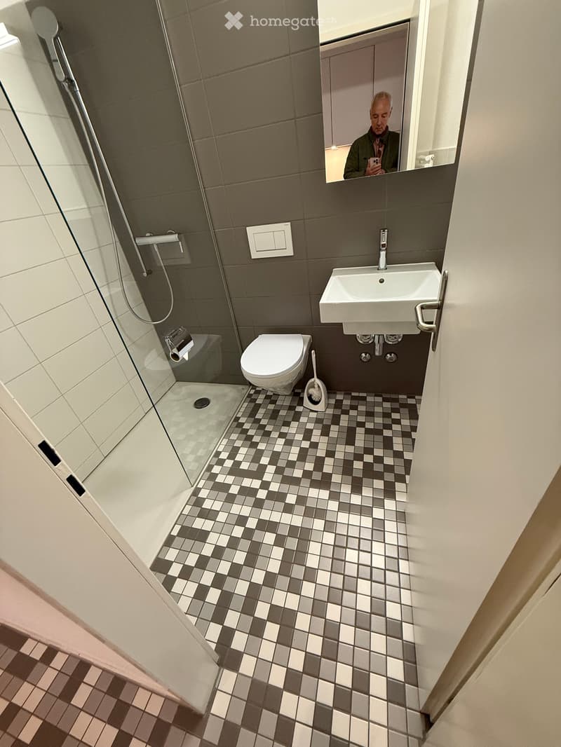 Grosses 1-Zi Apartment in Ascona (3)