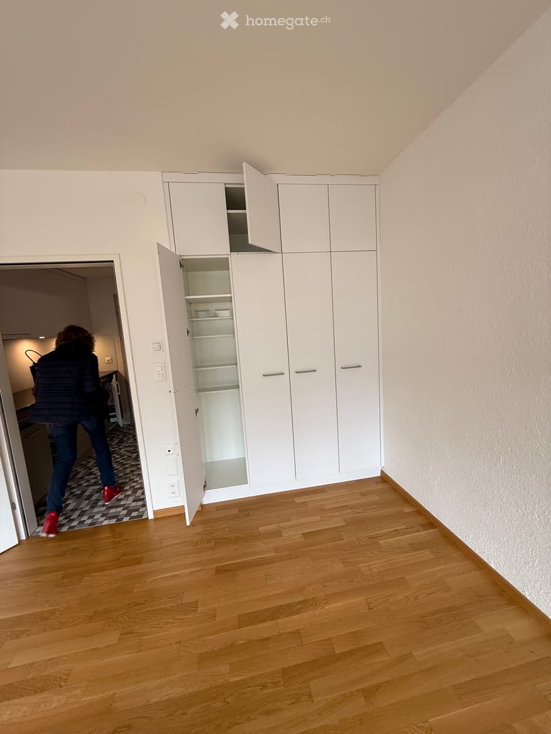 Grosses 1-Zi Apartment in Ascona (2)