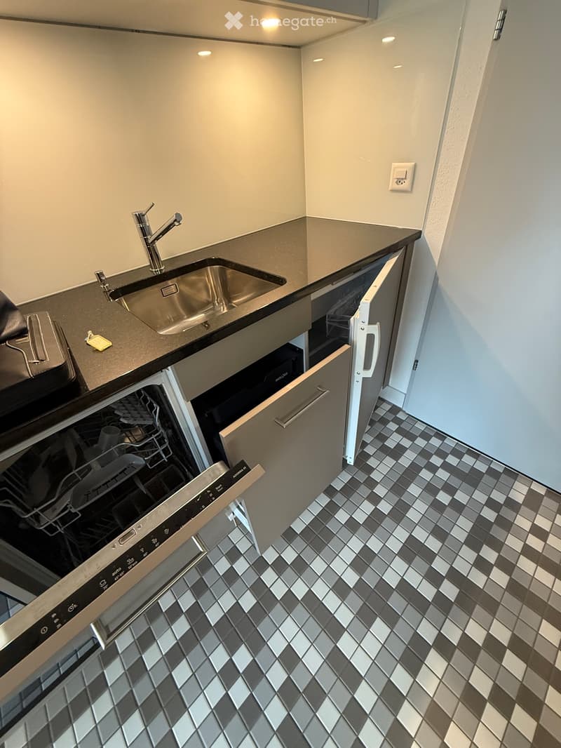 Grosses 1-Zi Apartment in Ascona (4)