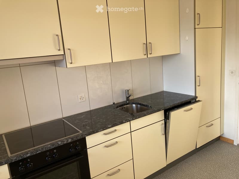 Frisch renovierte Eigentumswohnung (5)