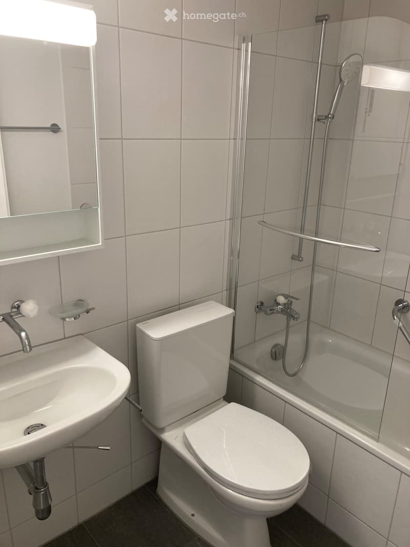 Frisch renovierte Eigentumswohnung (4)
