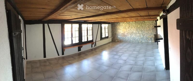 Schöne 21/2-Zimmer-Wohnung (2)