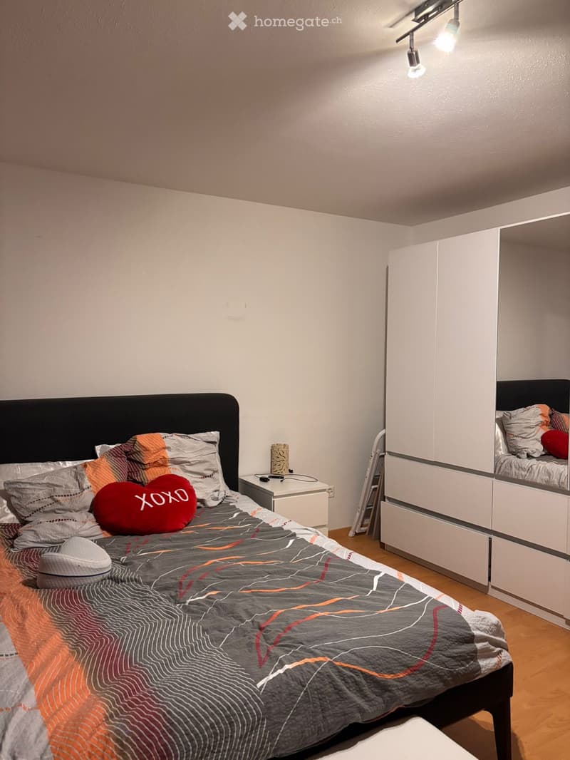 Wohnung 4.5 (5)