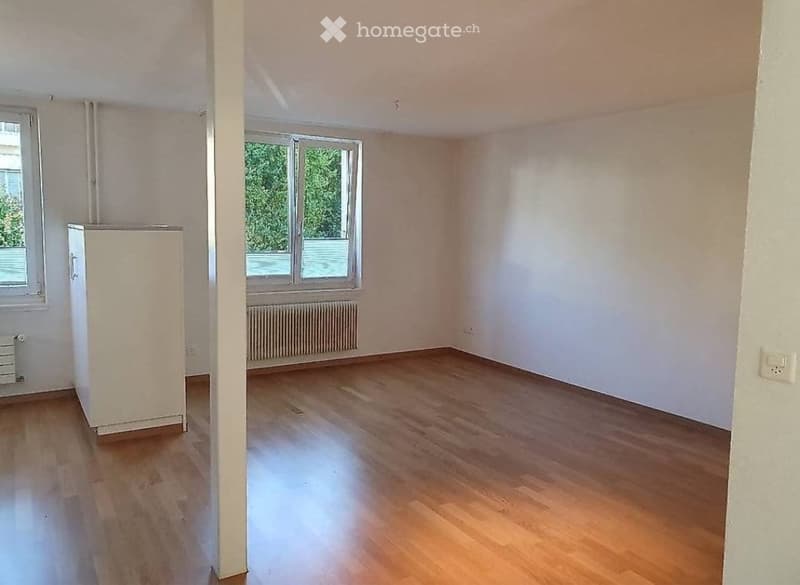 Sonnige 3Zimmer Wohnung. Elfenau. Egghölzli (3)