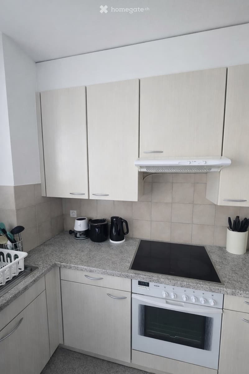 2.5-Zimmer Wohnung in Basel-Iselin (3)