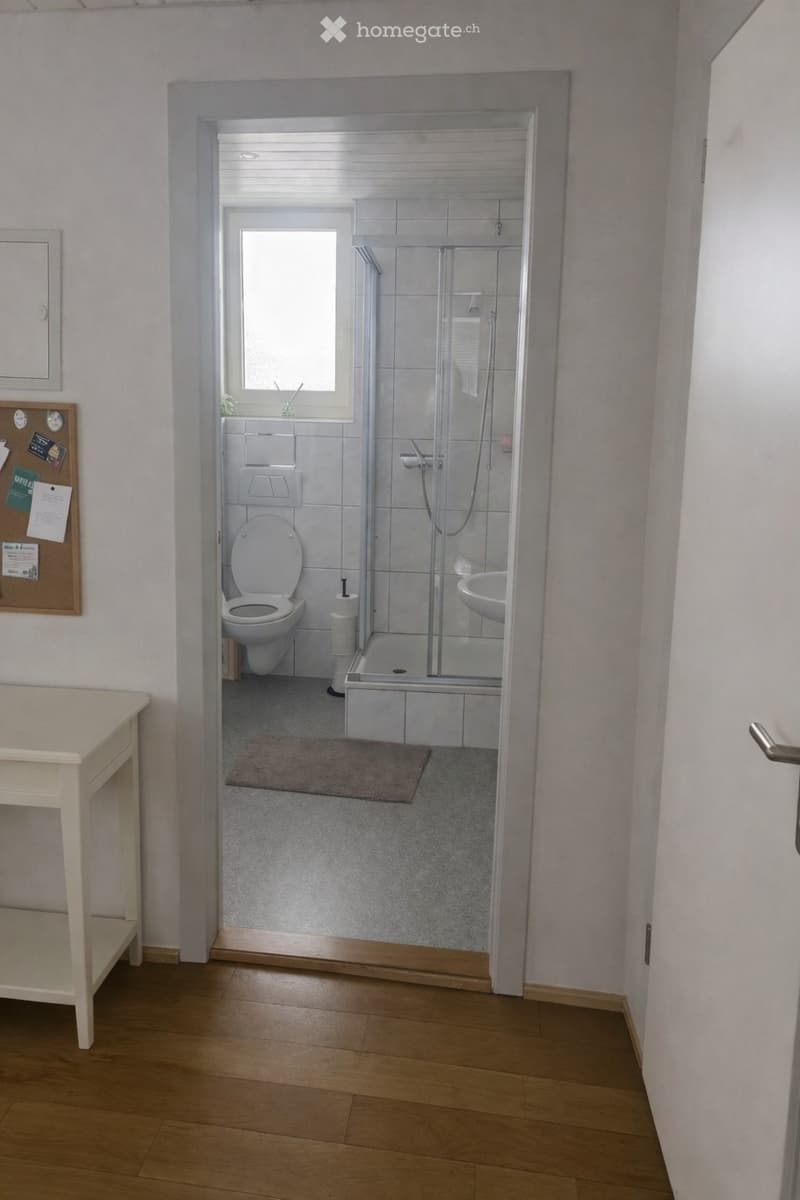 2.5-Zimmer Wohnung in Basel-Iselin (4)