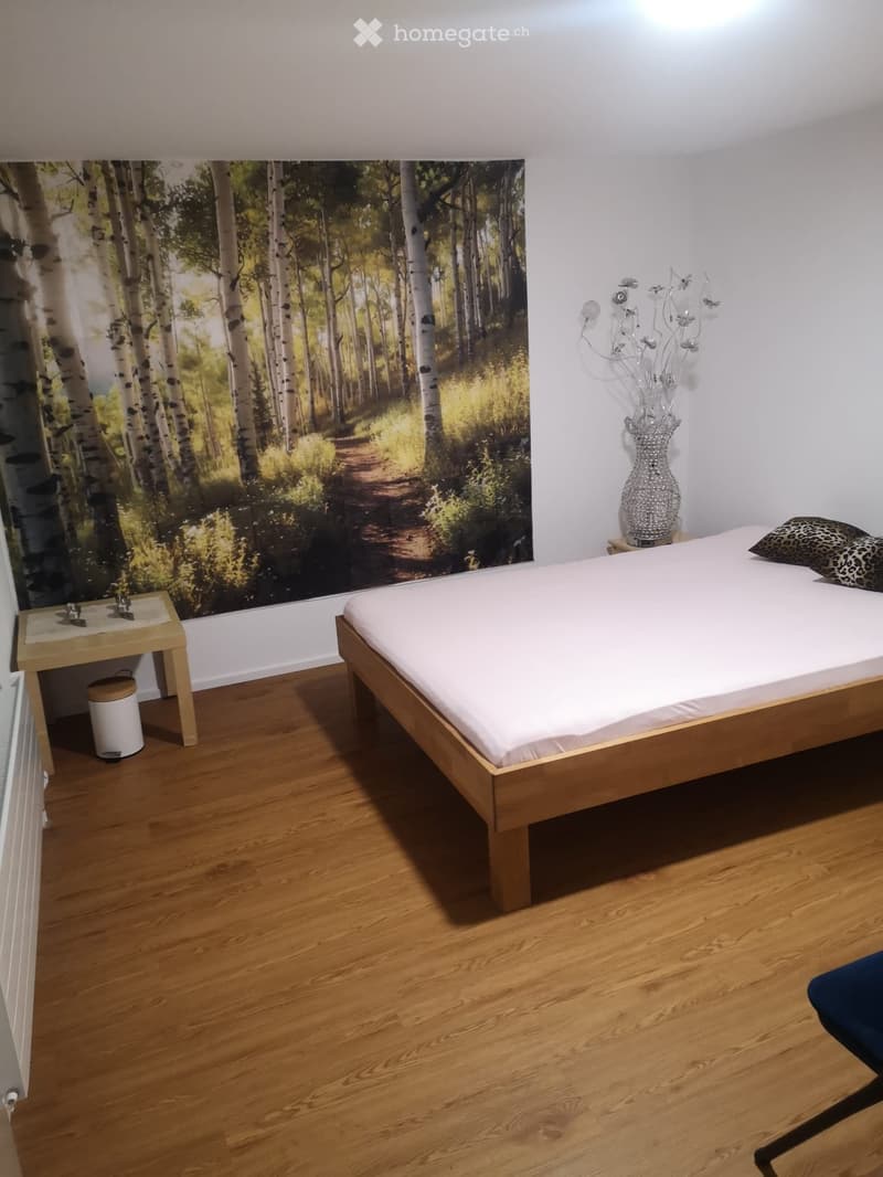 2 Zimmer-Wohnung im 1. Stock (2)
