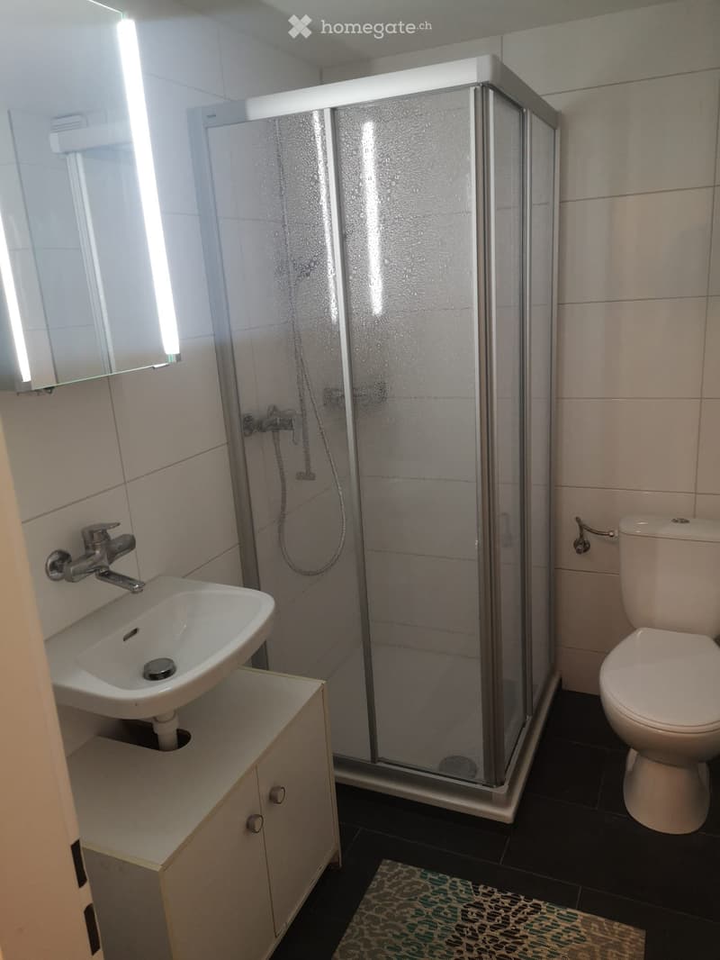 2 Zimmer-Wohnung im 1. Stock (4)