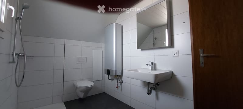 Dachwohnung 3.5 Zi, neu renoviert. Laube, Sitzplatz, Garten (4)