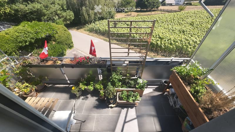 Modernes WG Zimmer in Niederwangen, frisch renoviert 2023 (5)