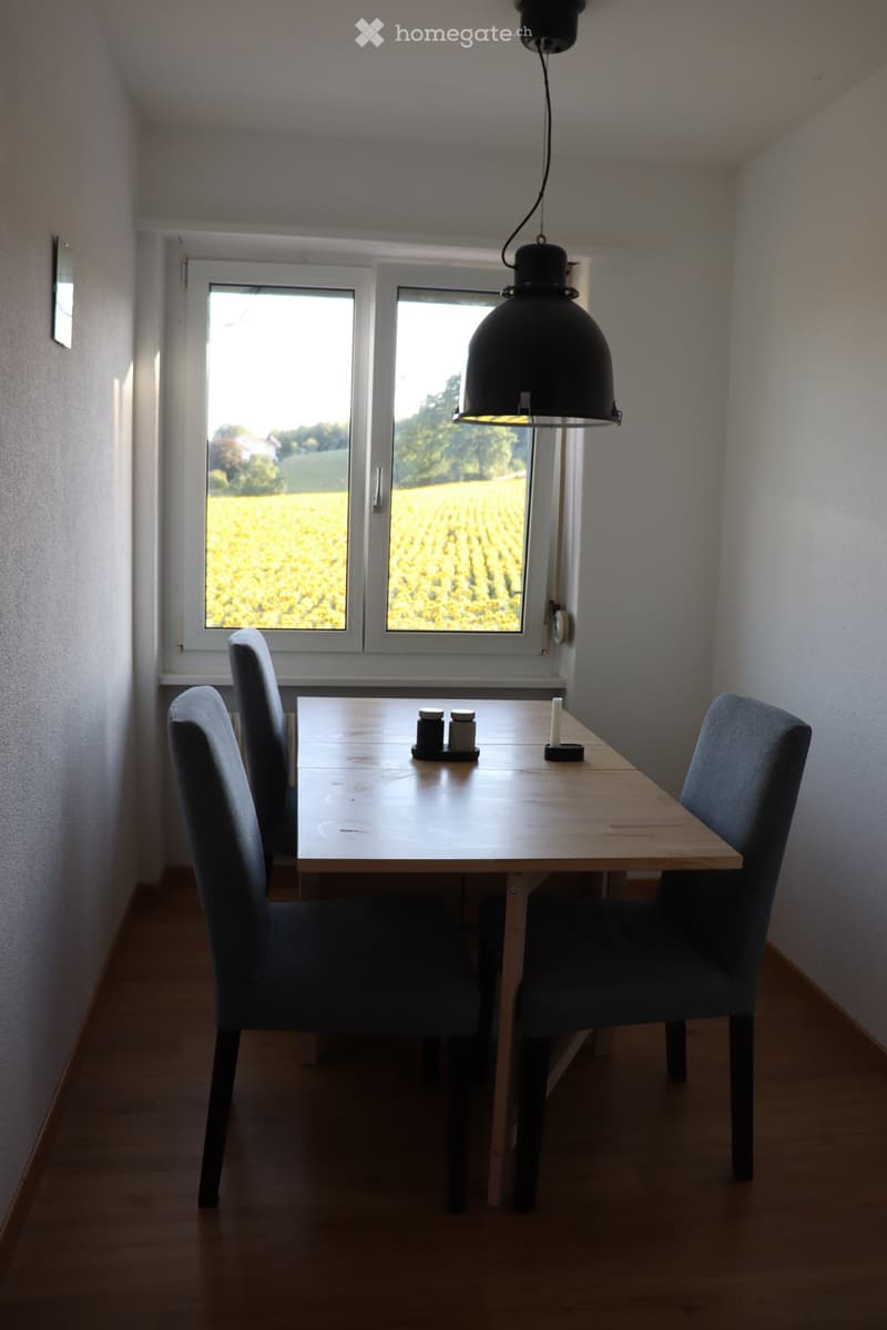 Modernes WG Zimmer in Niederwangen, frisch renoviert 2023 (3)