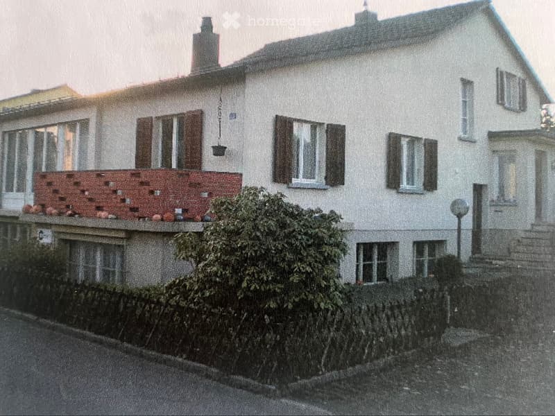 Älteres Einfamilienhaus (2)