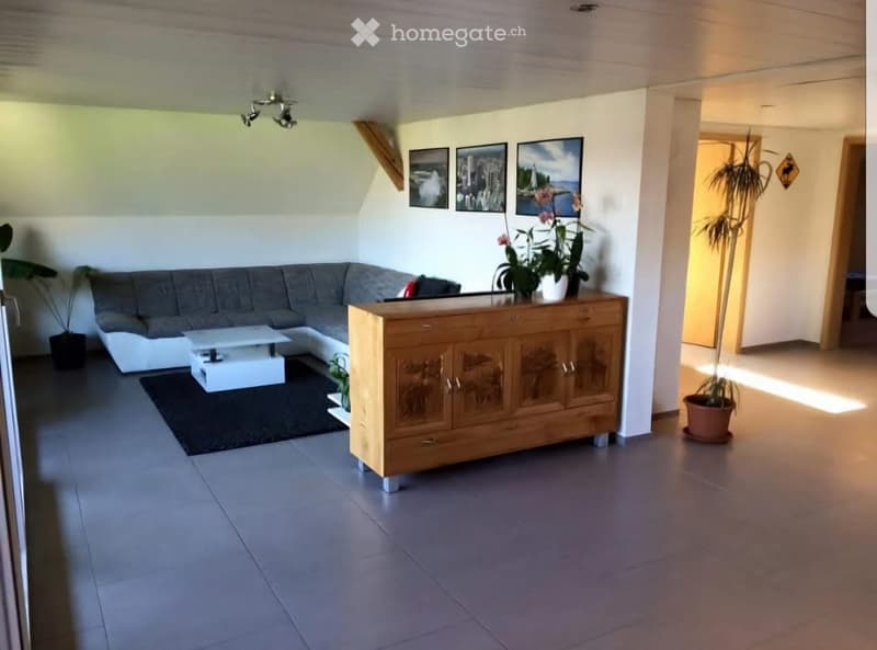 3,5-Zimmerwohnung zu vermieten (3)