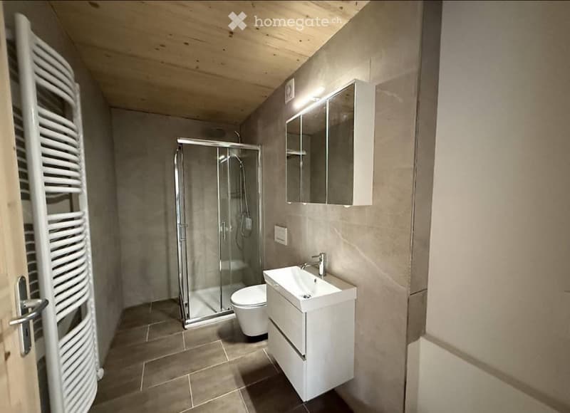 3.5 Zimmer Neubauwohnung (3)