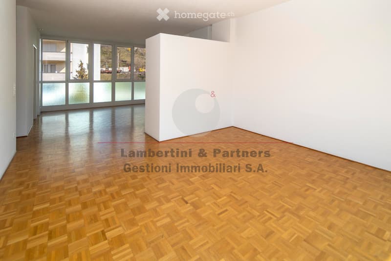 APPARTAMENTO 4.5 LOCALI a Balerna (3)