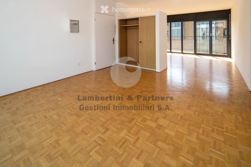 APPARTAMENTO 4.5 LOCALI a Balerna (2)