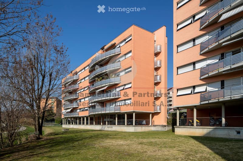 APPARTAMENTO 4.5 LOCALI a Balerna (1)