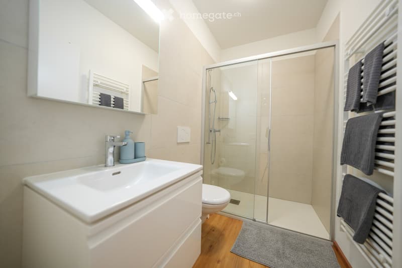 Affittasi loft ammobiliato in centro a Locarno. (2)