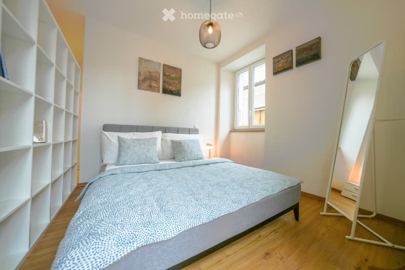 Affittasi loft ammobiliato in centro a Locarno. (5)