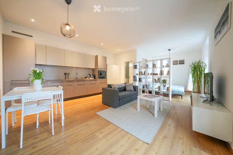 Affittasi loft ammobiliato in centro a Locarno. (4)