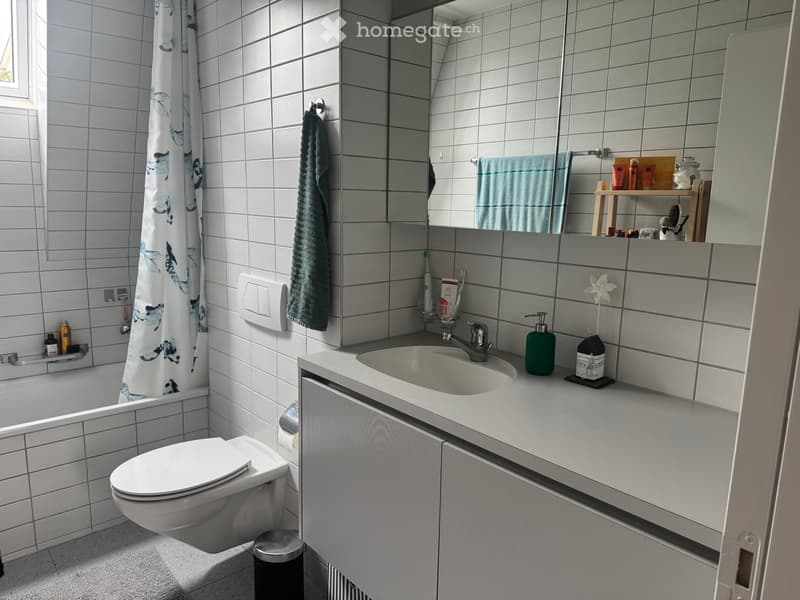 Schöne möblierte 3-Zimmer Wohnung in Nidau (4)