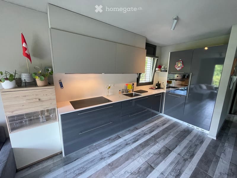Elegante appartamento con giardino (2)