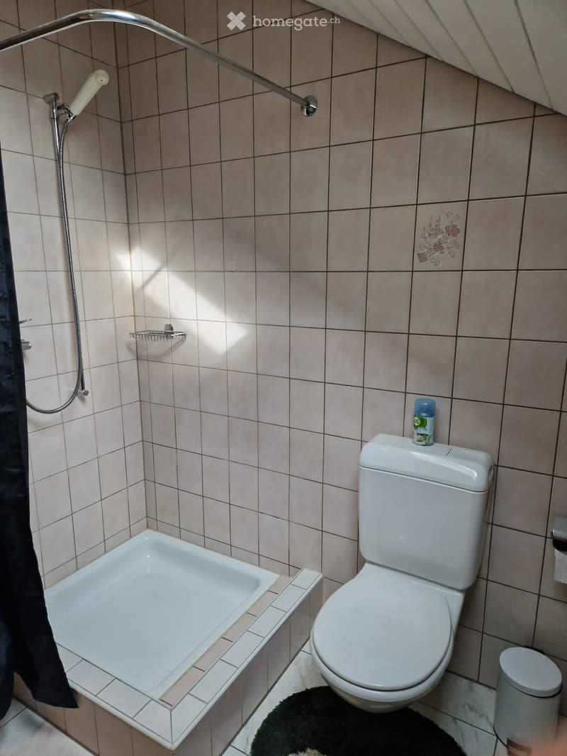 6 ZIMMER MAISONETTE WOHNUNG (13)