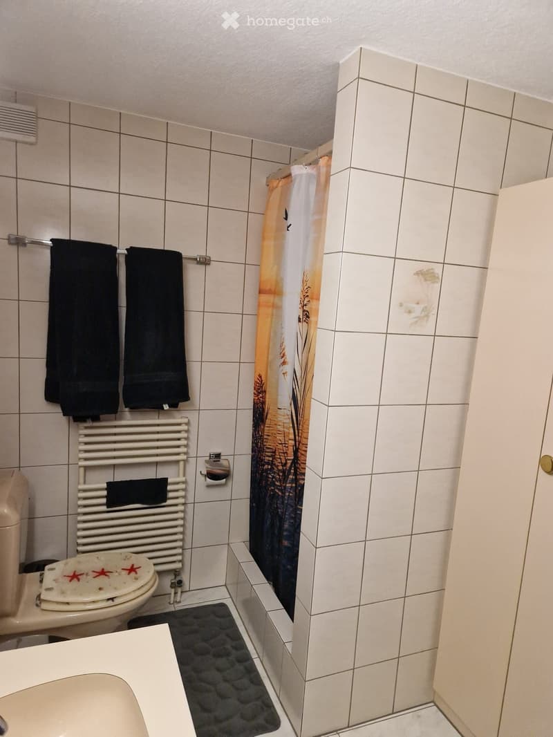 6 ZIMMER MAISONETTE WOHNUNG (8)