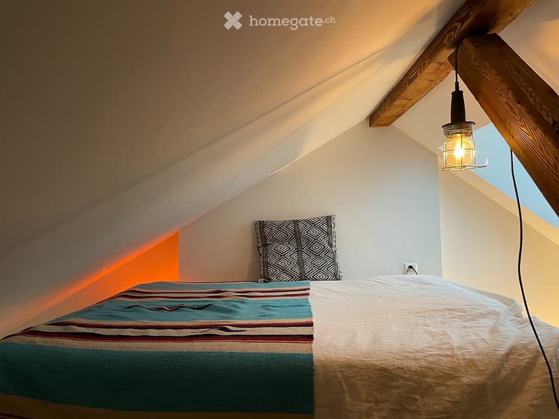 Sonnige Loft-Dachwohnung inkl. Arbeitsplatz & Dachterrasse (4)