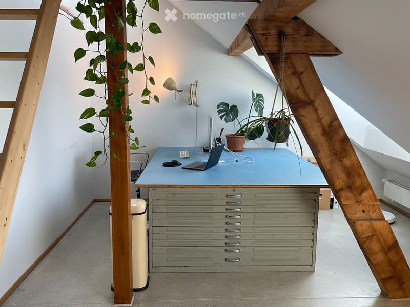 Sonnige Loft-Dachwohnung inkl. Arbeitsplatz & Dachterrasse (3)