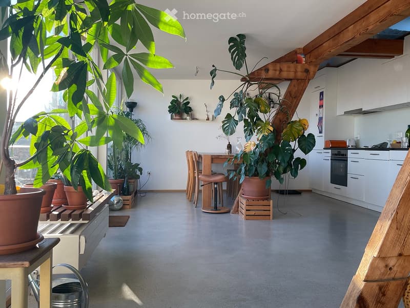 Sonnige Loft-Dachwohnung inkl. Arbeitsplatz & Dachterrasse (2)