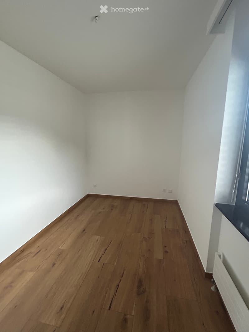 Cerco subentrante per appartamento 3.5 locali a Pregassona (4)