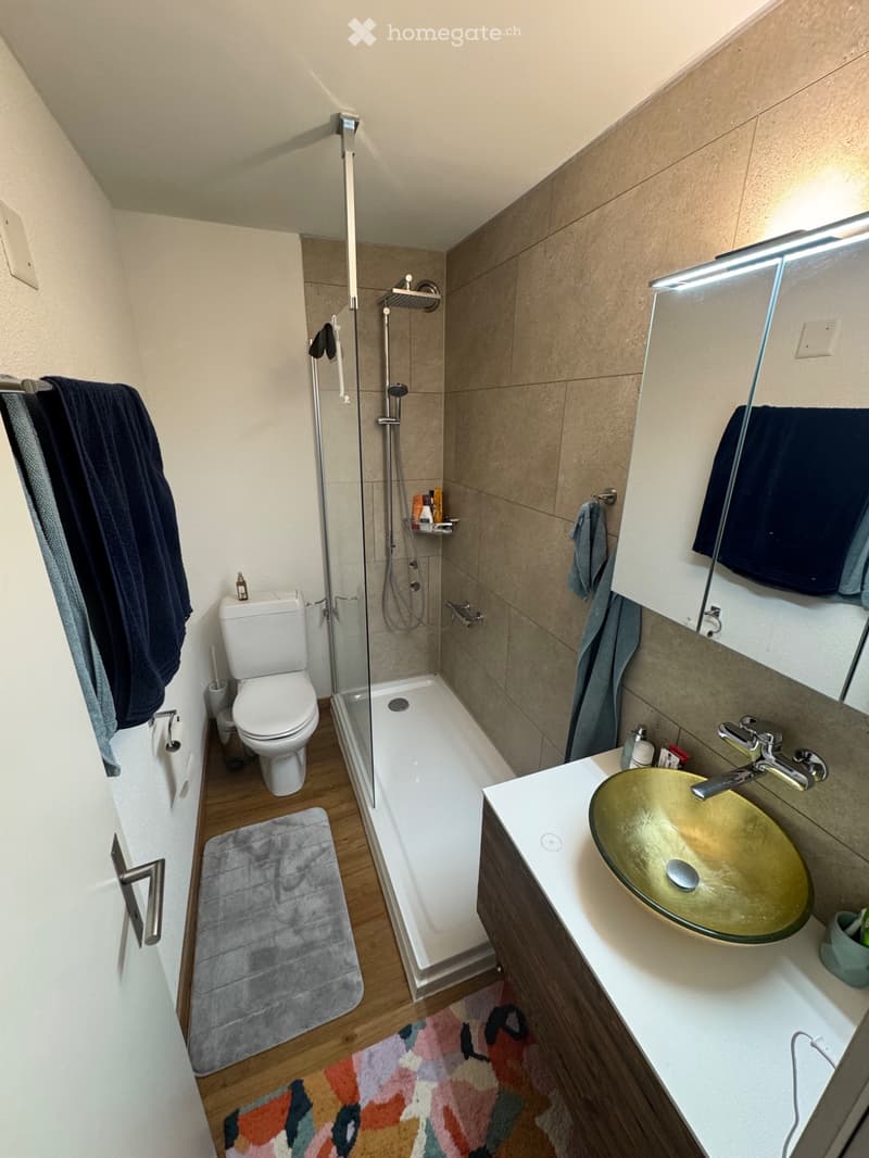 Sonnig, ruhig und zentral. 2,5-Zimmer Wohnung (2)