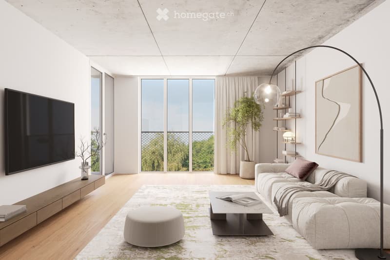Erstbezug 2.5 / 3 Zi- Wohnung (inkl.NK à Konto 250.-) (5)
