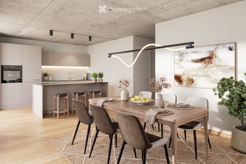 Erstbezug 2.5 / 3 Zi- Wohnung (inkl.NK à Konto 250.-) (3)