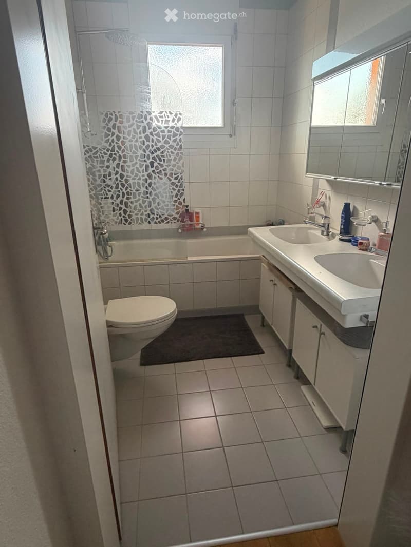 4½-Zimmer-Dachwohnung in Geuensee (1)