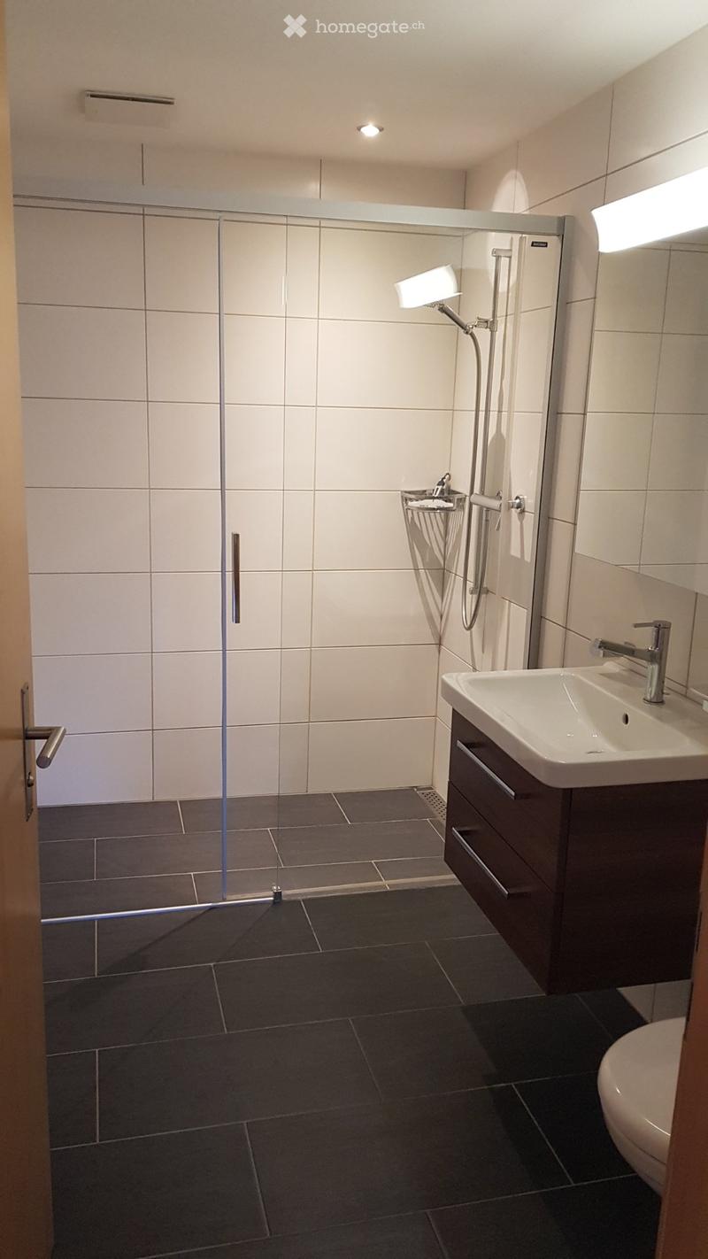 Grosszügige 3.5 Zimmer Wohnung zum Vermieten (2)