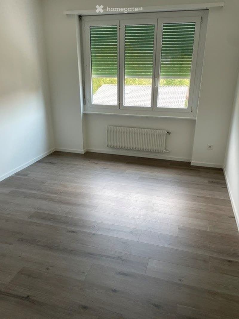 AFFITTASI APPARTAMENTO DI 3.5 LOCALI (3)