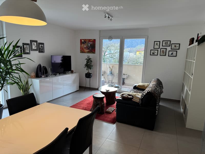 Arbedo 3.5 locali al PT con terrazza e giardino (3)