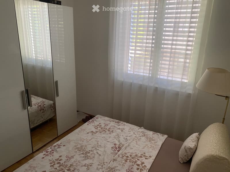 Bellissimo appartamento a Molino nuovo (3)