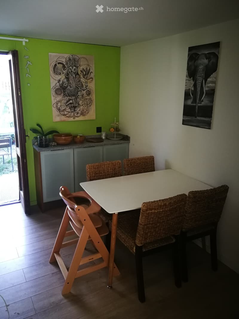 Appartamento in casa bifamiliare con giardino privato (2)