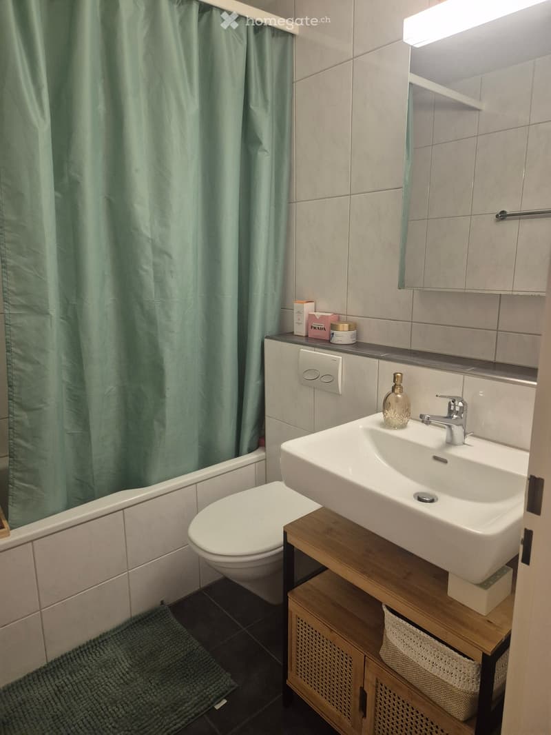 Nachmieter gesucht für zentrale Wohnung in ruhigem Quartier (4)