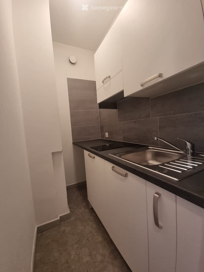 Affitto Monolocale Arredato Lugano (3)