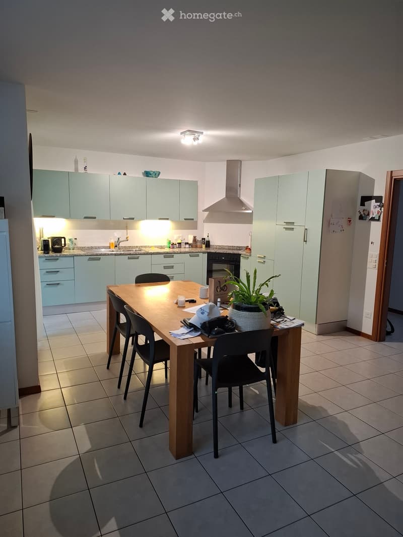 Losone affittasi appartamento 4.5 (3)