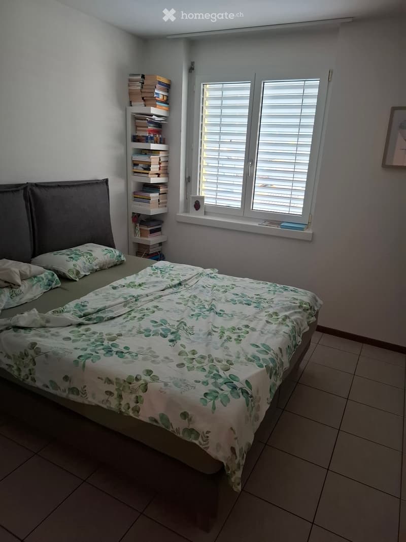 Losone affittasi appartamento 4.5 (5)