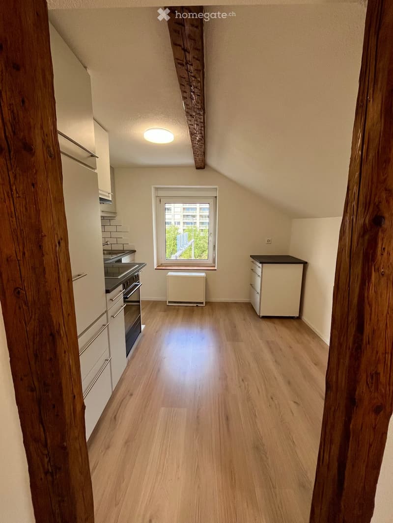 Schöne 2.5 Zimmer Wohnung (4)