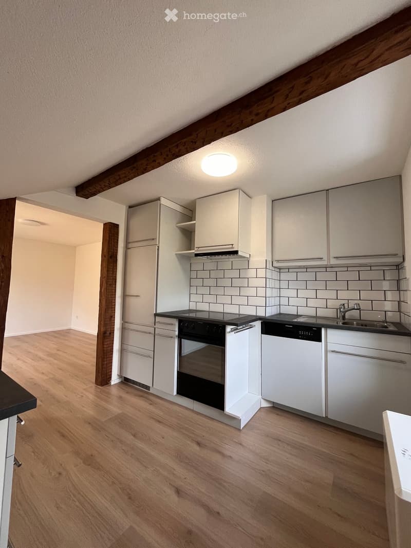 Schöne 2.5 Zimmer Wohnung (1)