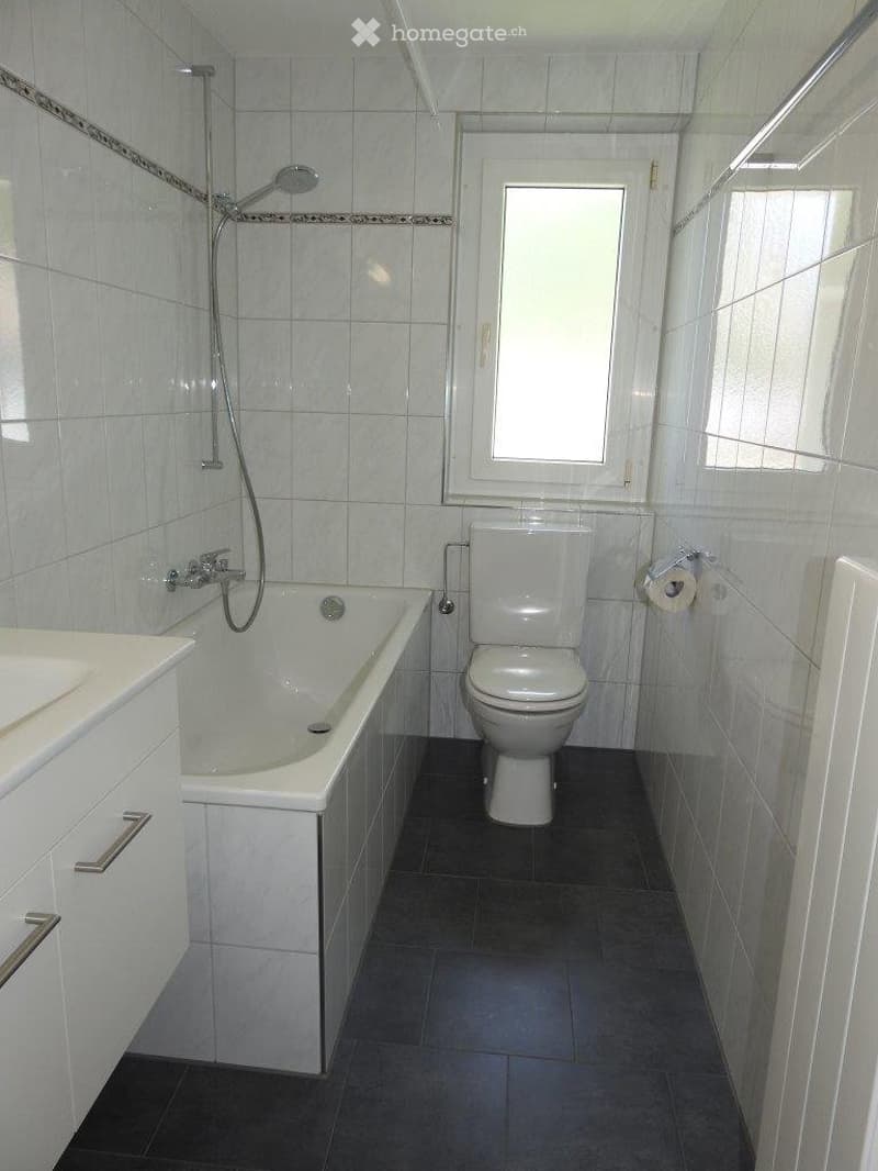 4.5 Zimmer Altwohnung (3)